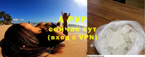 ПСИЛОЦИБИНОВЫЕ ГРИБЫ Белокуриха