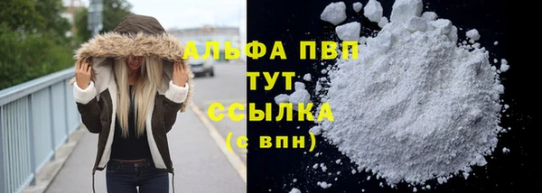 ПСИЛОЦИБИНОВЫЕ ГРИБЫ Белокуриха