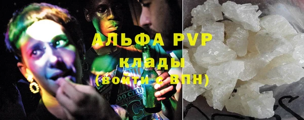 ПСИЛОЦИБИНОВЫЕ ГРИБЫ Белокуриха