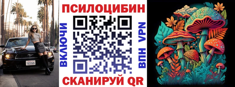 что такое наркотик  Шагонар  Псилоцибиновые грибы Psilocybe 